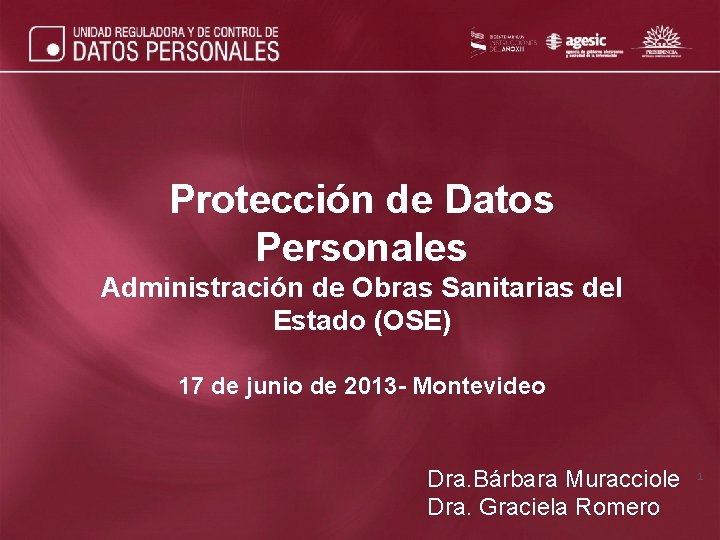 Protección de Datos Personales Administración de Obras Sanitarias del Estado (OSE) 17 de junio