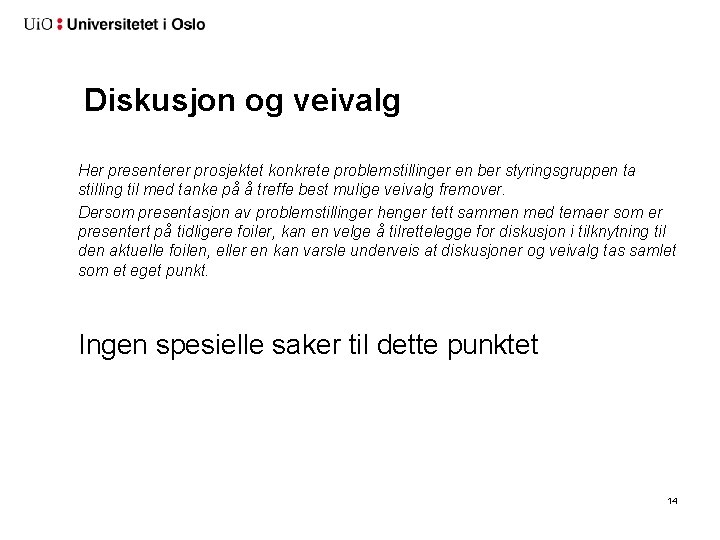 Diskusjon og veivalg Her presenterer prosjektet konkrete problemstillinger en ber styringsgruppen ta stilling til