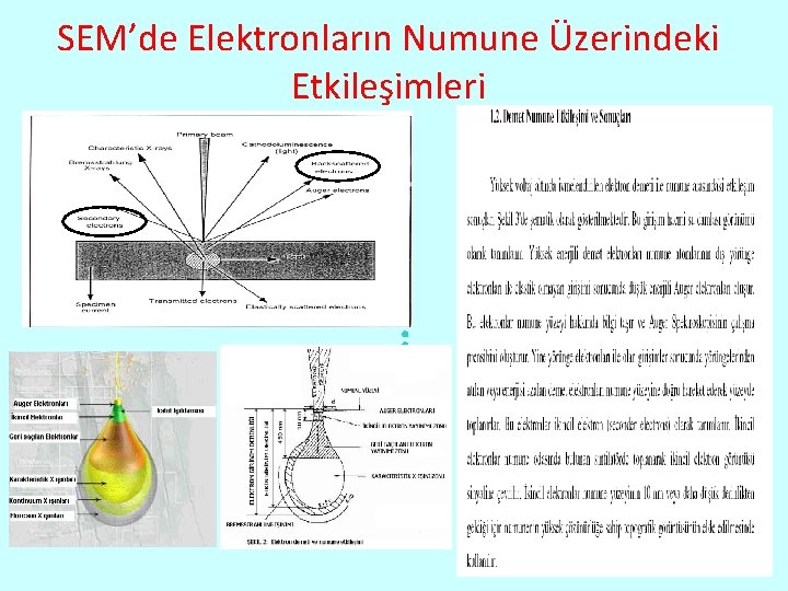 SEM’de Elektronların Numune Üzerindeki Etkileşimleri 10 