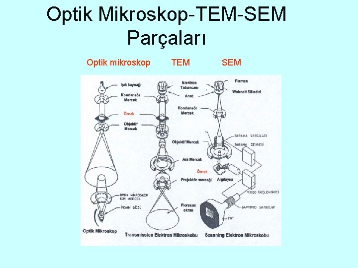 Optik Mikroskop-TEM-SEM Parçaları Optik mikroskop TEM SEM 