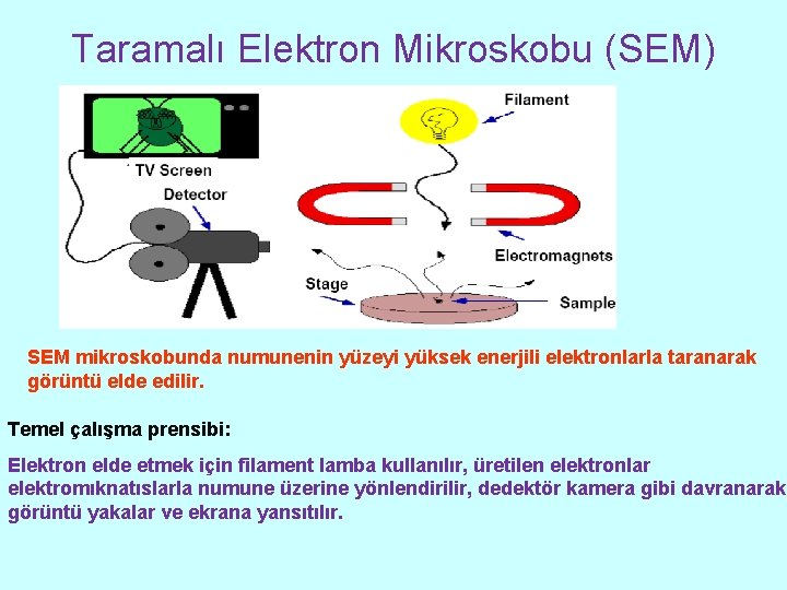 Taramalı Elektron Mikroskobu (SEM) SEM mikroskobunda numunenin yüzeyi yüksek enerjili elektronlarla taranarak görüntü elde