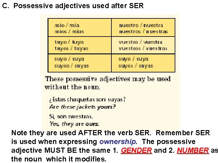 C. Possessive adjectives used after SER Note they are used AFTER the verb SER.