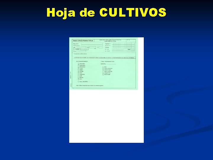 Hoja de CULTIVOS 