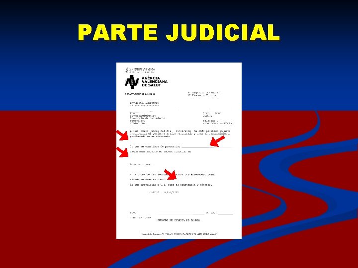 PARTE JUDICIAL 