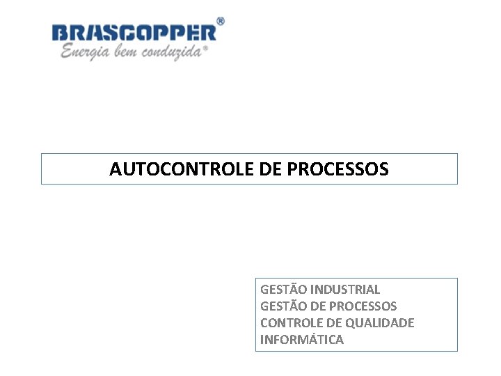 AUTOCONTROLE DE PROCESSOS GESTÃO INDUSTRIAL GESTÃO DE PROCESSOS CONTROLE DE QUALIDADE INFORMÁTICA 