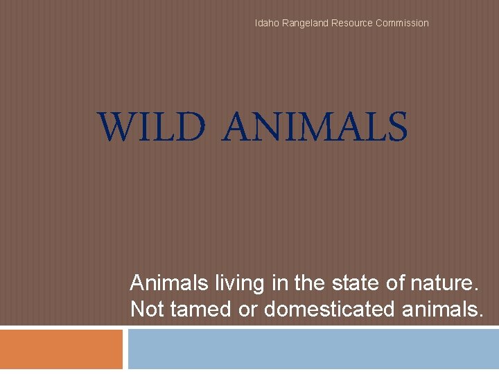 Idaho Rangeland Resource Commission WILD ANIMALS Animals living in the state of nature. Not Idaho Rangeland Resource Commission WILD ANIMALS Animals living in the state of nature. Not