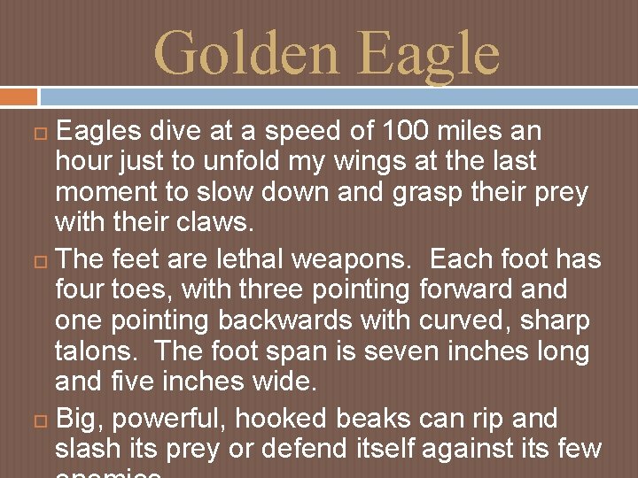 Golden Eagles dive at a speed of 100 miles an hour just to unfold Golden Eagles dive at a speed of 100 miles an hour just to unfold