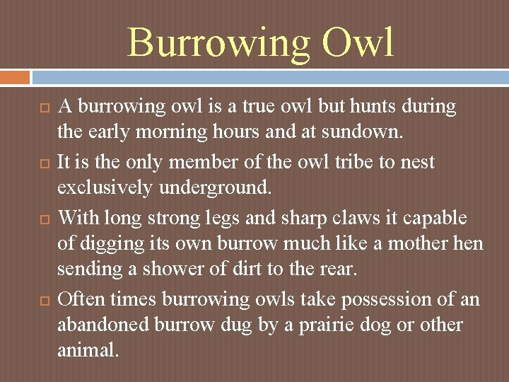 Burrowing Owl A burrowing owl is a true owl but hunts during the early Burrowing Owl A burrowing owl is a true owl but hunts during the early