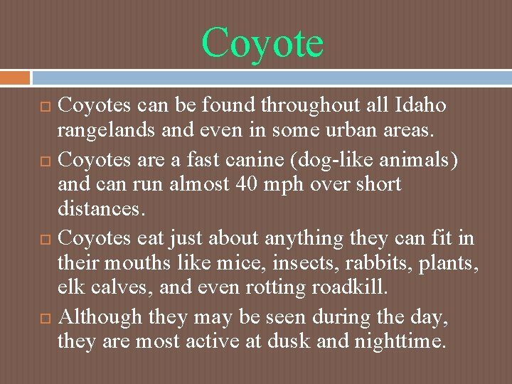 Coyotes can be found throughout all Idaho rangelands and even in some urban areas. Coyotes can be found throughout all Idaho rangelands and even in some urban areas.