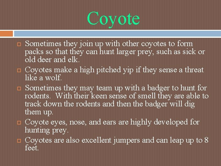 Coyote Sometimes they join up with other coyotes to form packs so that they Coyote Sometimes they join up with other coyotes to form packs so that they