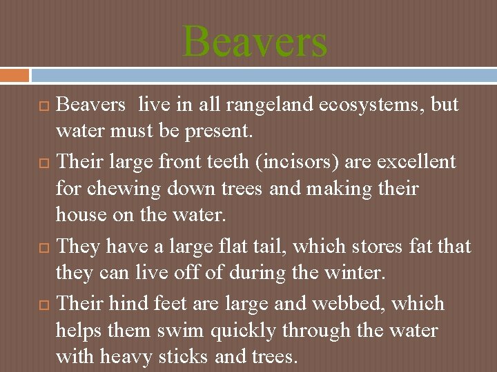 Beavers live in all rangeland ecosystems, but water must be present. Their large front Beavers live in all rangeland ecosystems, but water must be present. Their large front