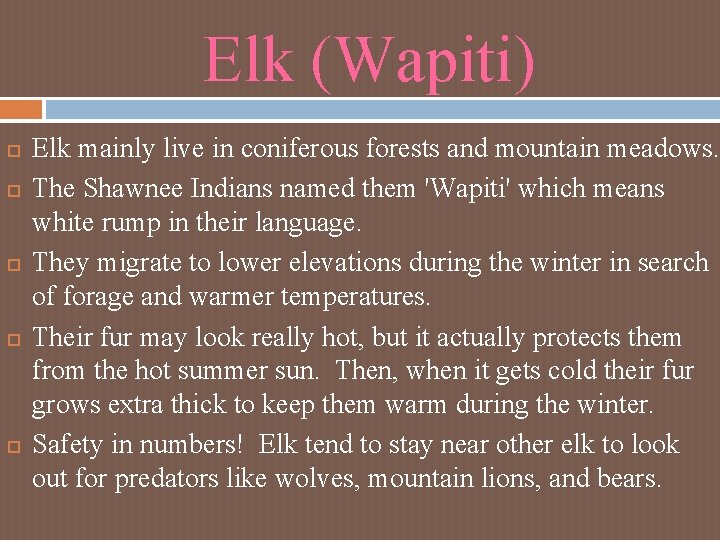 Elk (Wapiti) Elk mainly live in coniferous forests and mountain meadows. The Shawnee Indians Elk (Wapiti) Elk mainly live in coniferous forests and mountain meadows. The Shawnee Indians