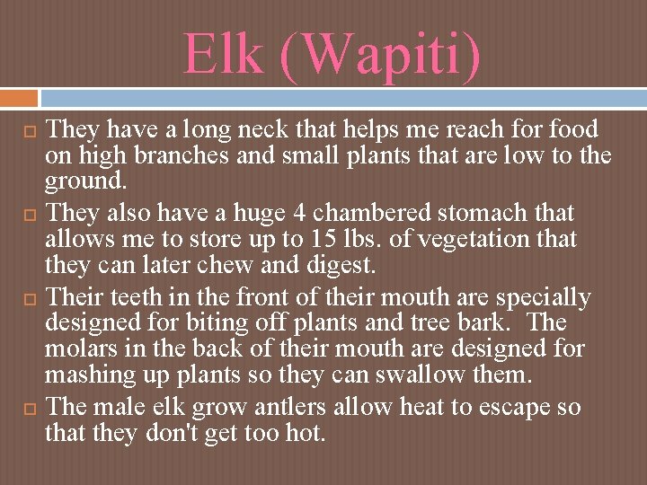 Elk (Wapiti) They have a long neck that helps me reach for food on Elk (Wapiti) They have a long neck that helps me reach for food on