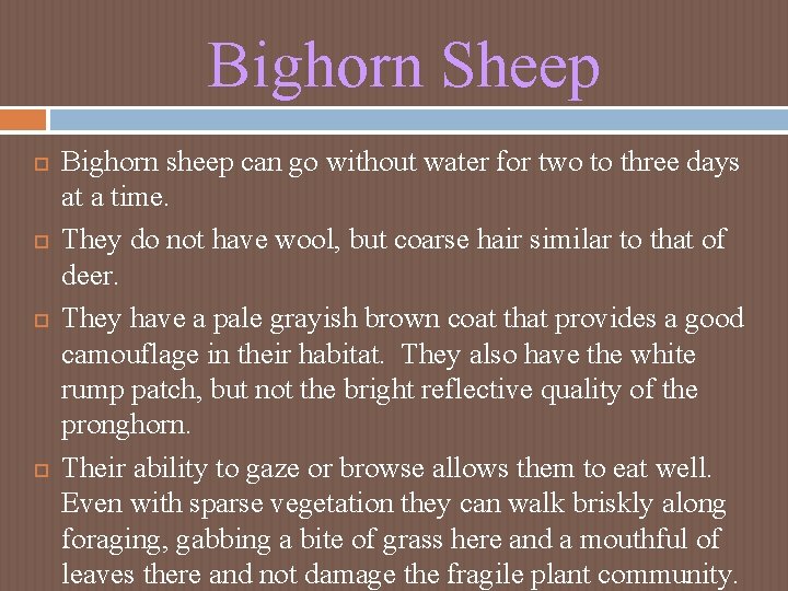 Bighorn Sheep Bighorn sheep can go without water for two to three days at Bighorn Sheep Bighorn sheep can go without water for two to three days at