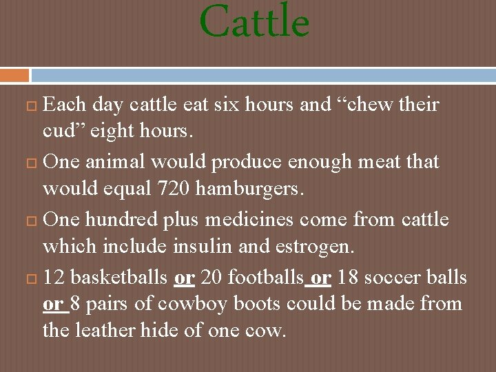 Cattle Each day cattle eat six hours and “chew their cud” eight hours. One Cattle Each day cattle eat six hours and “chew their cud” eight hours. One