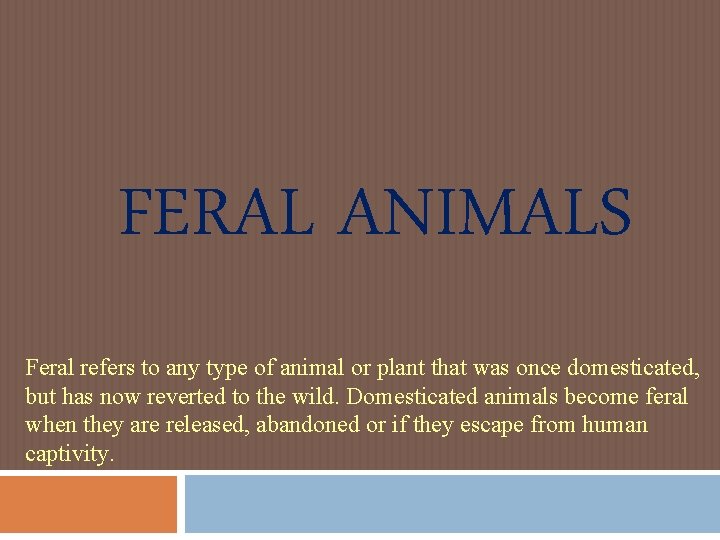 FERAL ANIMALS Feral refers to any type of animal or plant that was once FERAL ANIMALS Feral refers to any type of animal or plant that was once