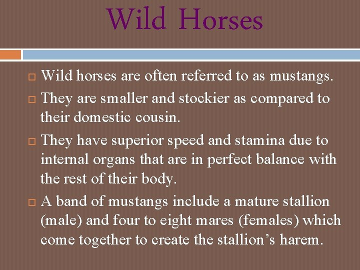 Wild Horses Wild horses are often referred to as mustangs. They are smaller and Wild Horses Wild horses are often referred to as mustangs. They are smaller and
