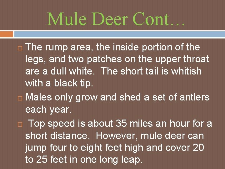 Mule Deer Cont… The rump area, the inside portion of the legs, and two Mule Deer Cont… The rump area, the inside portion of the legs, and two