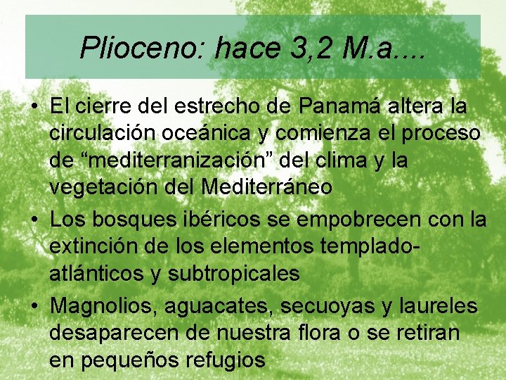 Plioceno: hace 3, 2 M. a. . • El cierre del estrecho de Panamá