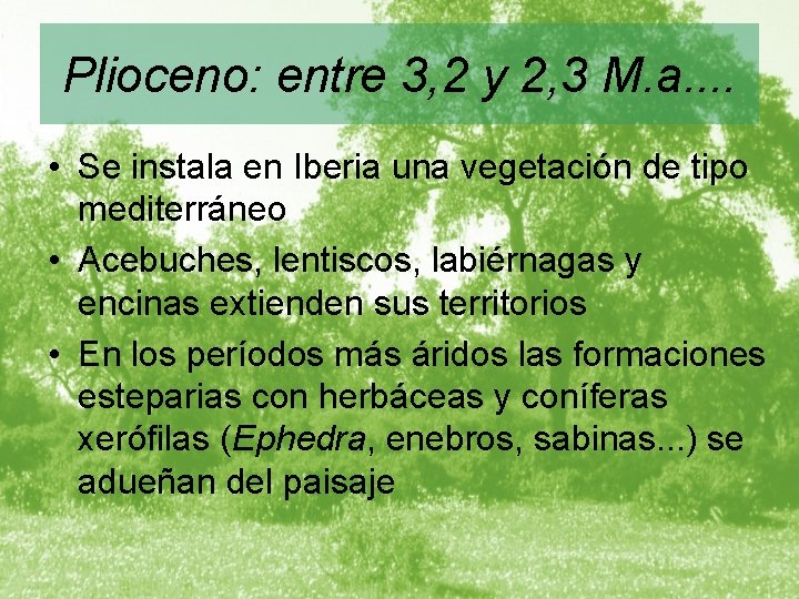 Plioceno: entre 3, 2 y 2, 3 M. a. . • Se instala en