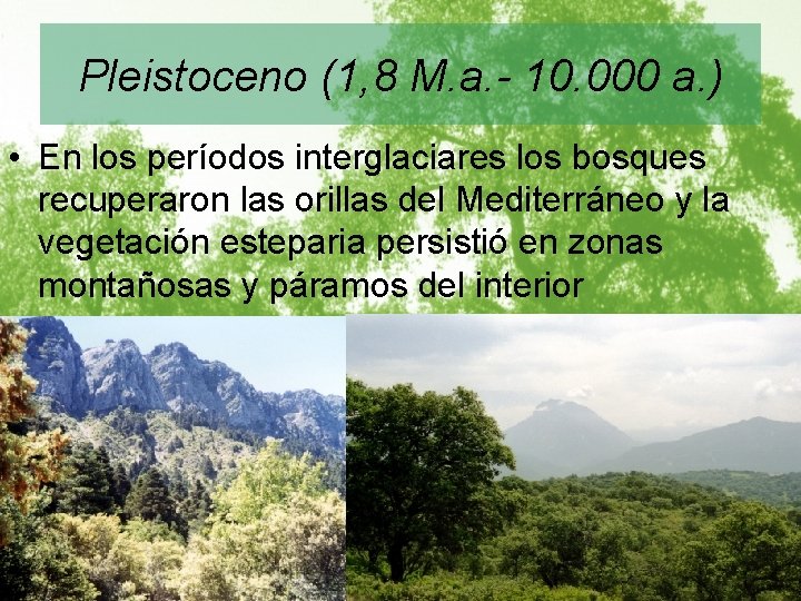 Pleistoceno (1, 8 M. a. - 10. 000 a. ) • En los períodos