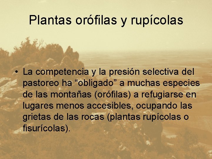 Plantas orófilas y rupícolas • La competencia y la presión selectiva del pastoreo ha
