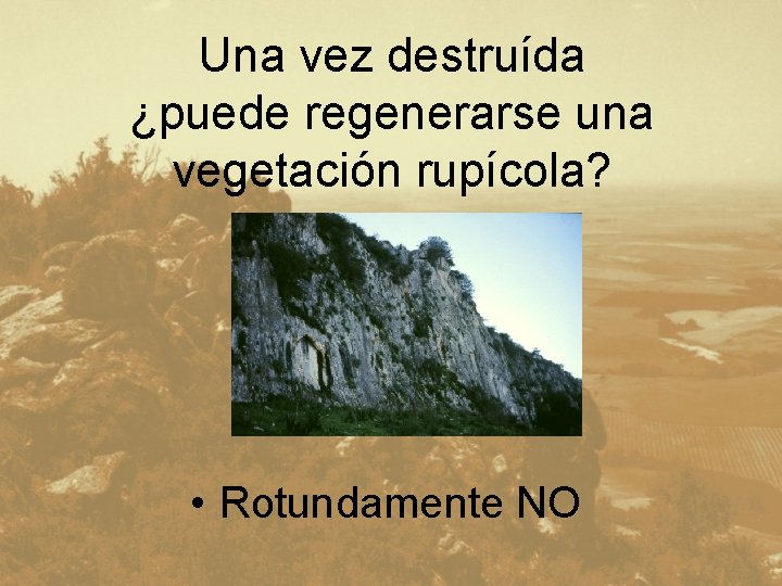 Una vez destruída ¿puede regenerarse una vegetación rupícola? • Rotundamente NO 