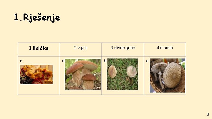 1. Rješenje 1. lisičke c 2. vrgoji d 3. slivne gobe b) 4. marelo