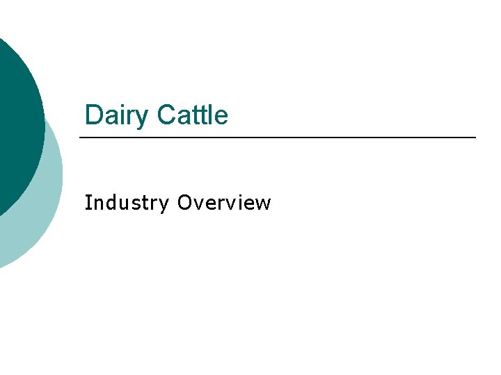 Dairy Cattle Industry Overview 