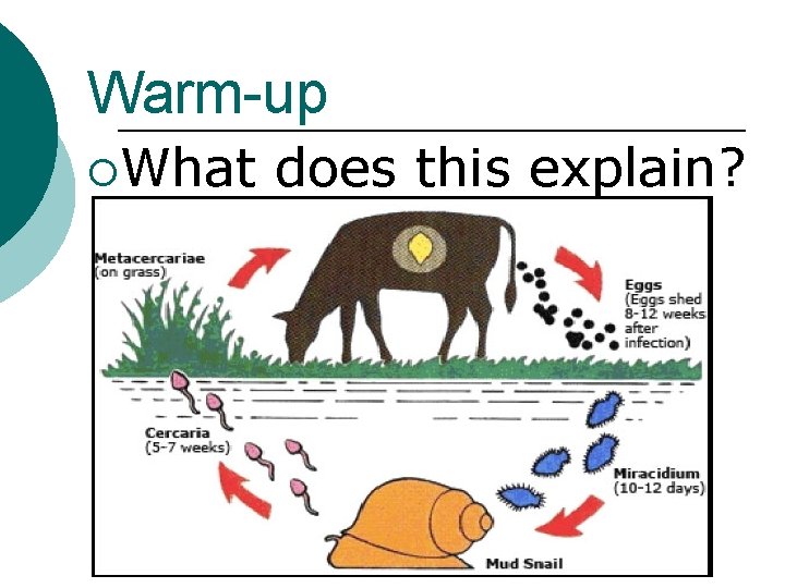 Warm-up ¡What does this explain? 