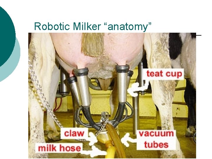 Robotic Milker “anatomy” 