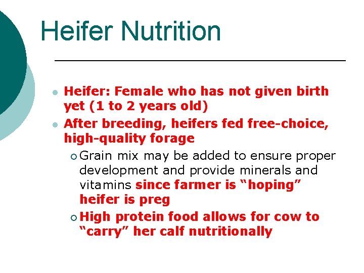 Heifer Nutrition l l Heifer: Female who has not given birth yet (1 to