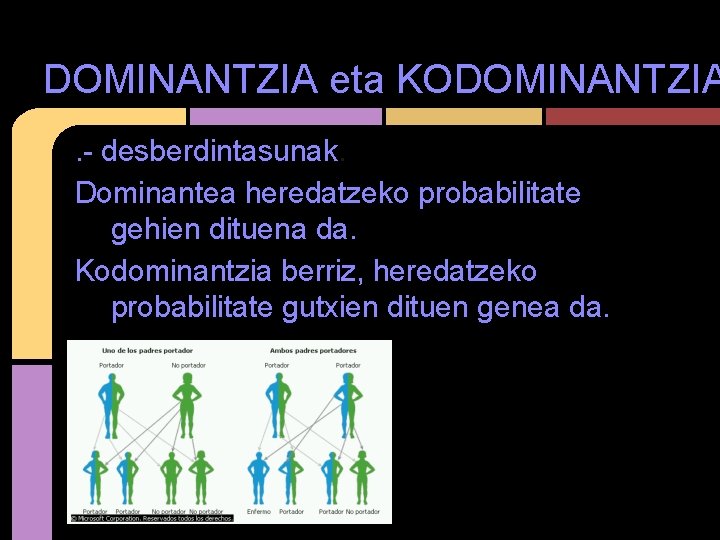 DOMINANTZIA eta KODOMINANTZIA. - desberdintasunak. Dominantea heredatzeko probabilitate gehien dituena da. Kodominantzia berriz, heredatzeko