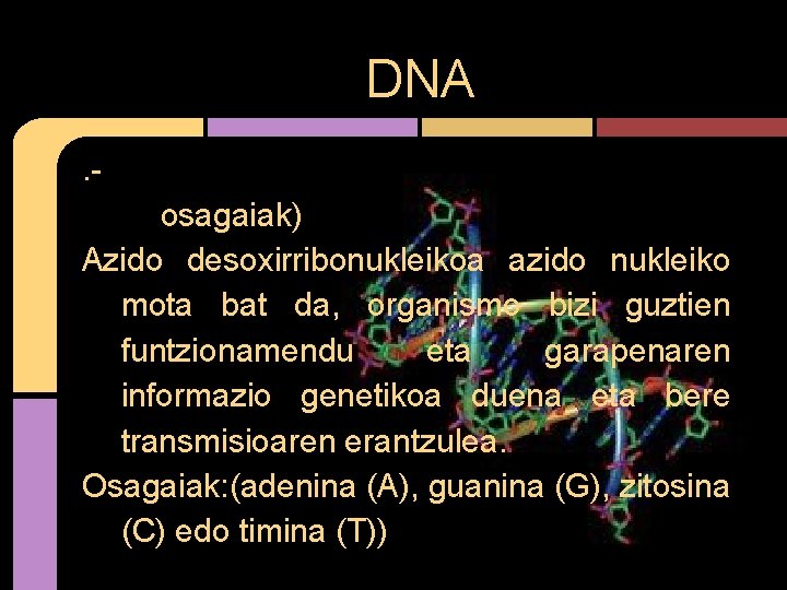 DNA. osagaiak) Azido desoxirribonukleikoa azido nukleiko mota bat da, organismo bizi guztien funtzionamendu eta