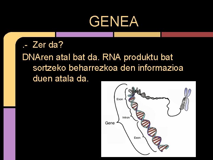 GENEA. - Zer da? DNAren atal bat da. RNA produktu bat sortzeko beharrezkoa den