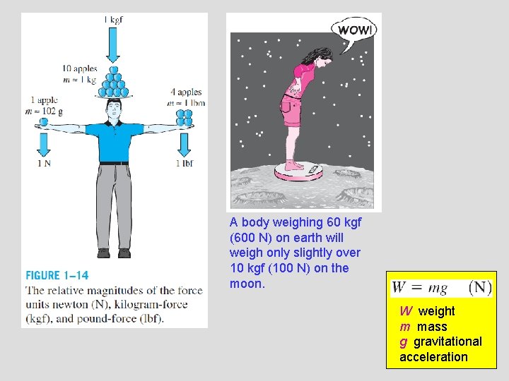 A body weighing 60 kgf (600 N) on earth will weigh only slightly over