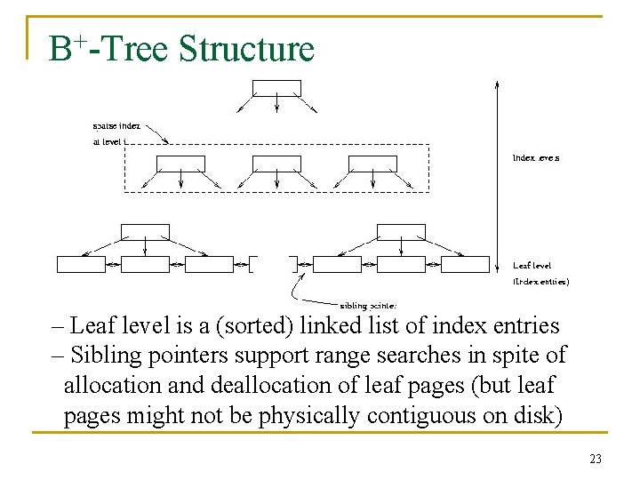 + B -Tree Structure – Leaf level is a (sorted) linked list of index