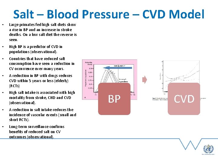Salt – Blood Pressure – CVD Model • Large primates fed high salt diets