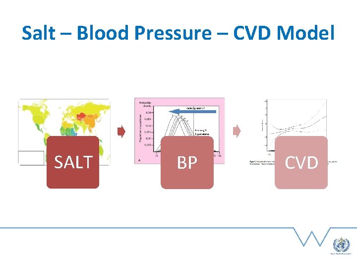 Salt – Blood Pressure – CVD Model SALT BP CVD 