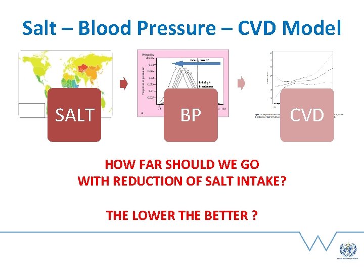 Salt – Blood Pressure – CVD Model SALT BP HOW FAR SHOULD WE GO