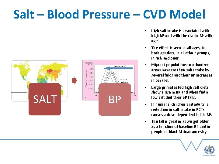 Salt – Blood Pressure – CVD Model SALT BP • High salt intake is
