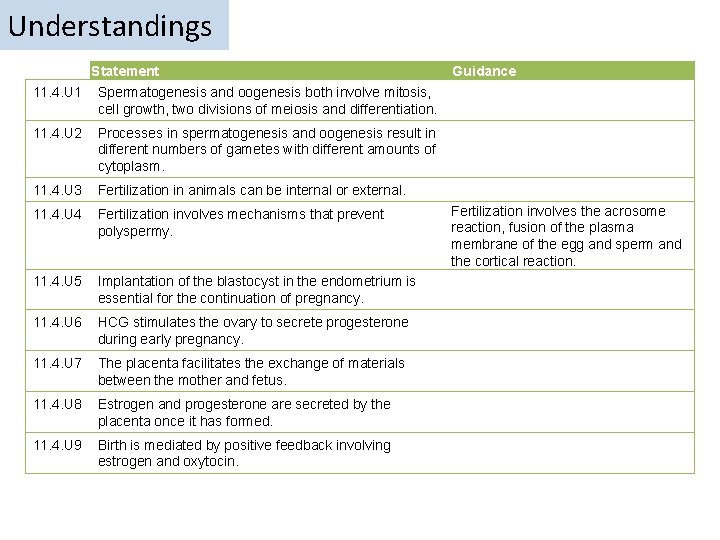 Understandings Statement 11. 4. U 1 Spermatogenesis and oogenesis both involve mitosis, cell growth, Understandings Statement 11. 4. U 1 Spermatogenesis and oogenesis both involve mitosis, cell growth,