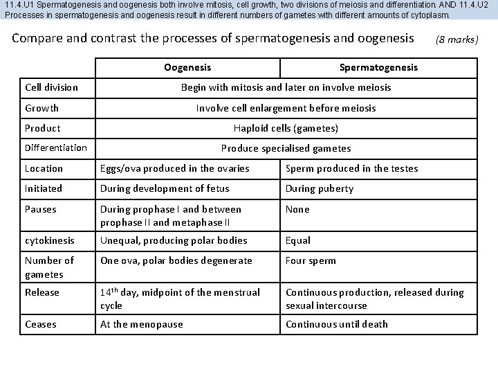 11. 4. U 1 Spermatogenesis and oogenesis both involve mitosis, cell growth, two divisions 11. 4. U 1 Spermatogenesis and oogenesis both involve mitosis, cell growth, two divisions