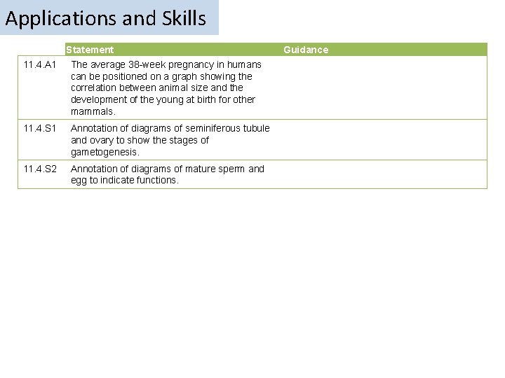 Applications and Skills Statement 11. 4. A 1 The average 38 -week pregnancy in Applications and Skills Statement 11. 4. A 1 The average 38 -week pregnancy in
