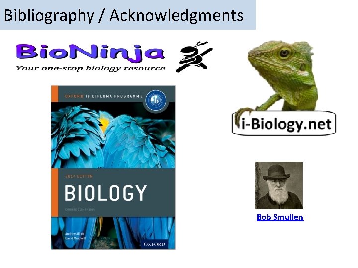 Bibliography / Acknowledgments Bob Smullen Bibliography / Acknowledgments Bob Smullen