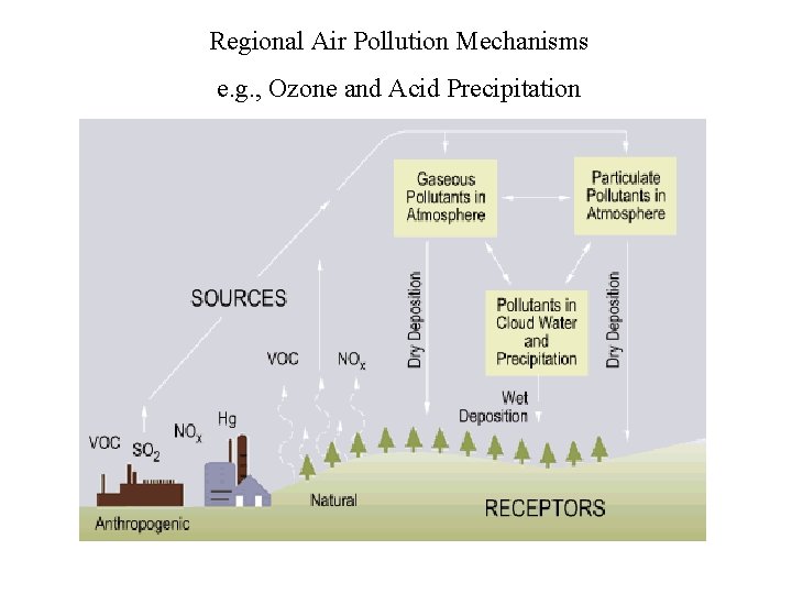 Regional Air Pollution Mechanisms e. g. , Ozone and Acid Precipitation 