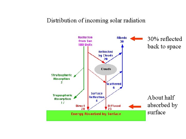 Distribution of incoming solar radiation 30% reflected back to space About half absorbed by