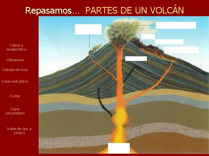 Repasamos… PARTES DE UN VOLCÁN Cámara magmática Chimenea Colada de lava Cono volcánico Cráter