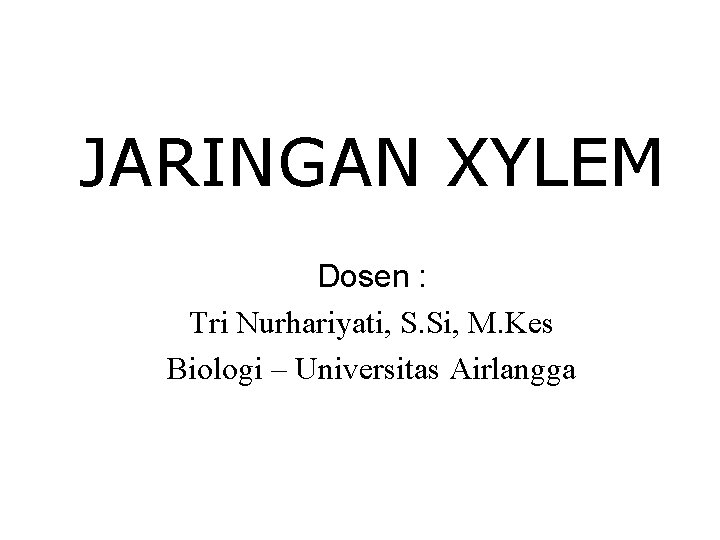 JARINGAN XYLEM Dosen : Tri Nurhariyati, S. Si, M. Kes Biologi – Universitas Airlangga