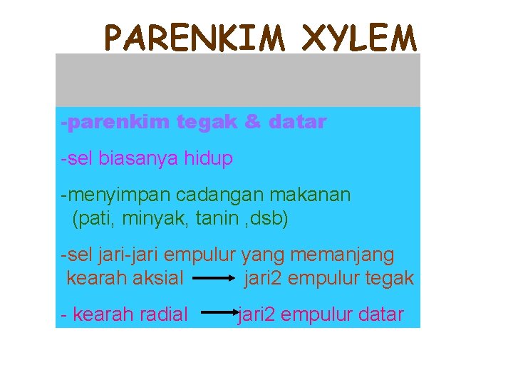 PARENKIM XYLEM -parenkim tegak & datar -sel biasanya hidup -menyimpan cadangan makanan (pati, minyak,